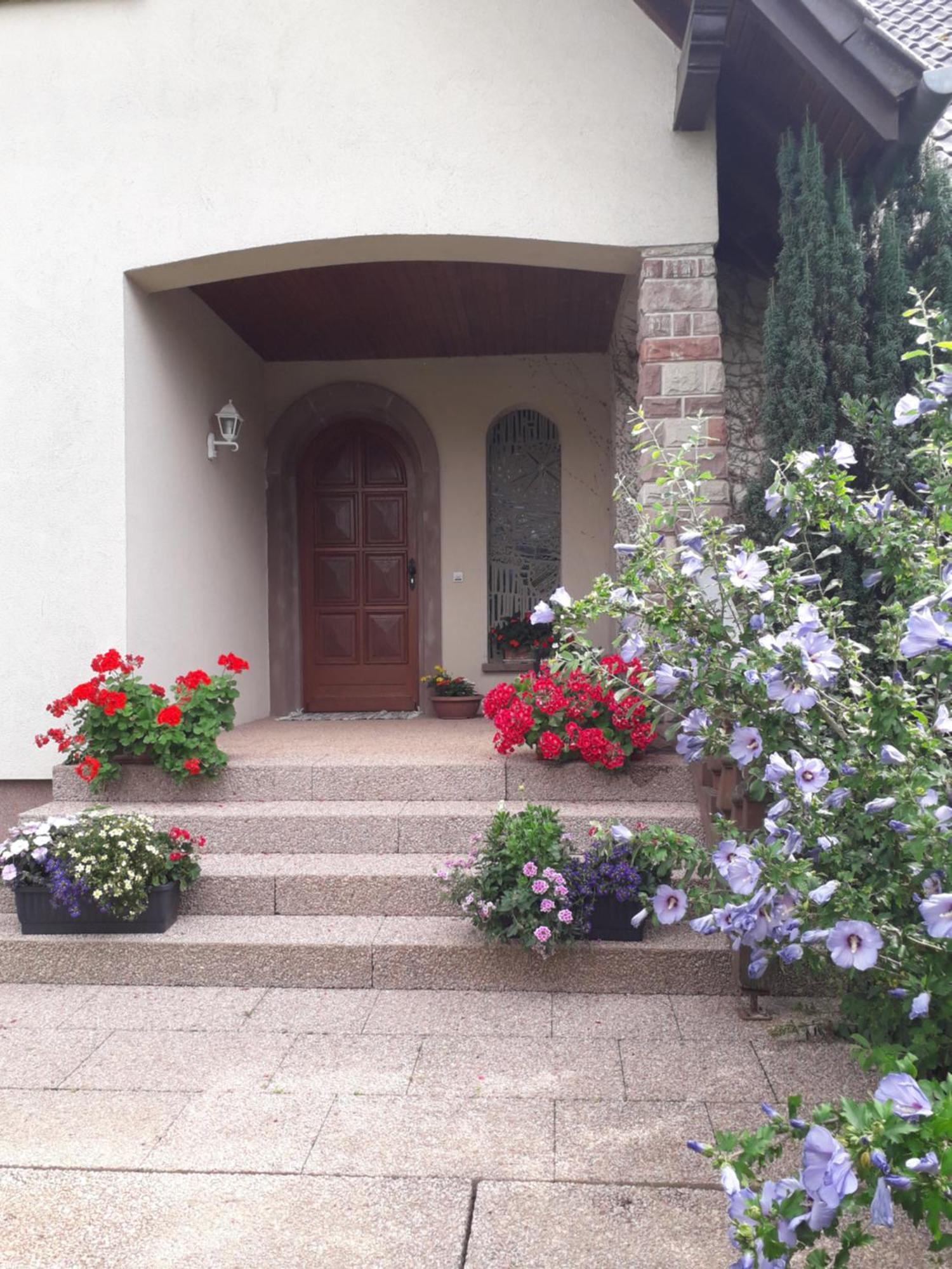 Chambre D'Hotes Du Schneeberg Bed and Breakfast Alteckendorf Exterior foto