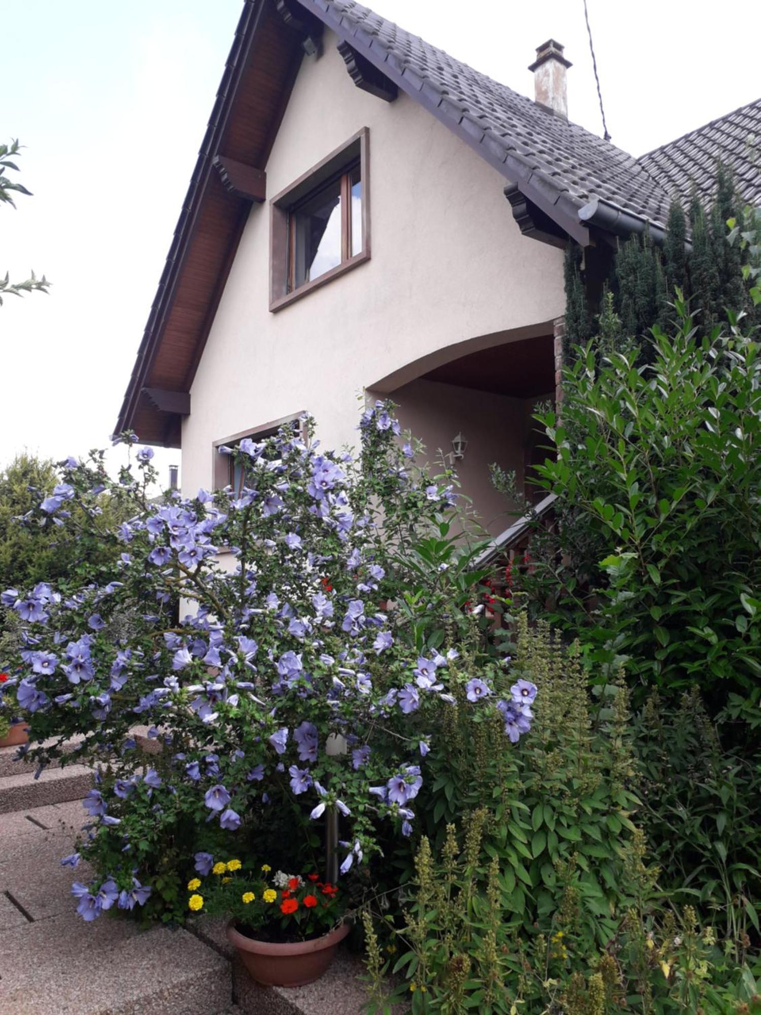 Chambre D'Hotes Du Schneeberg Bed and Breakfast Alteckendorf Exterior foto